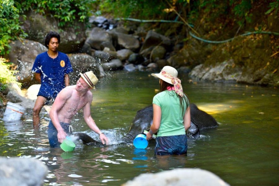 White Water Rafting, Zipline and Elephant Care