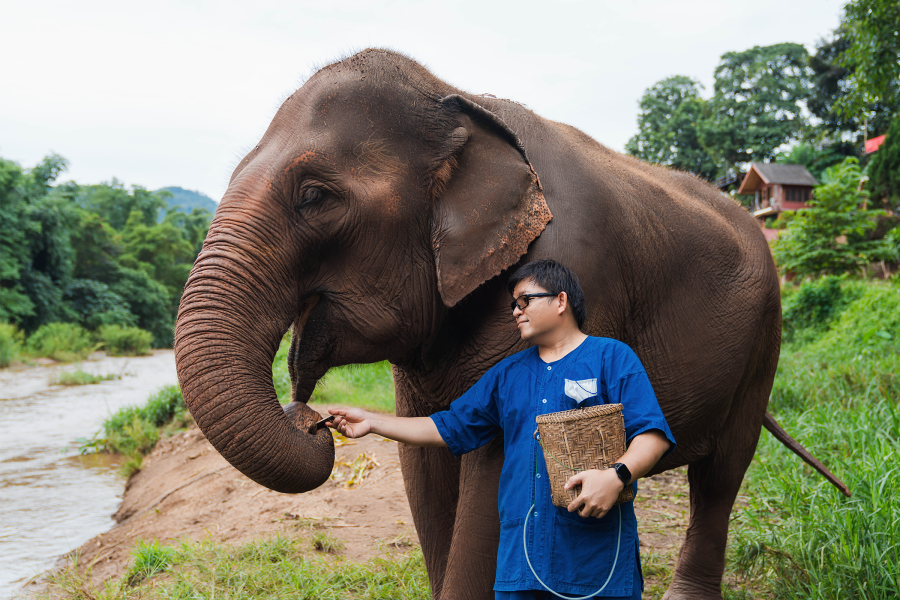 Elephant Sanctuary Phuket