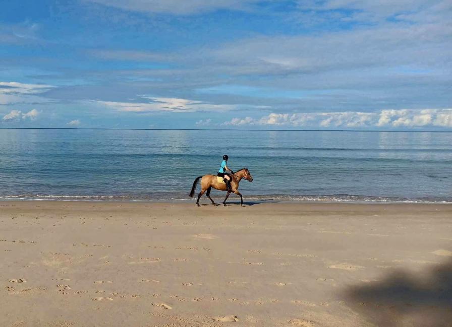 Beach Horse Back Riding at Layan Beach