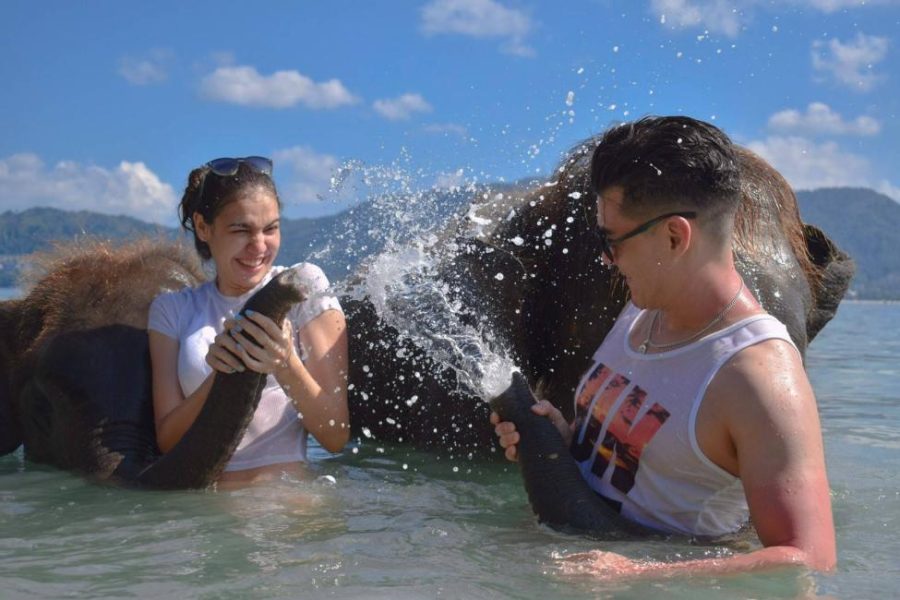 20-Mins Swim with Elephants at Lucky Beach (No Transportation)