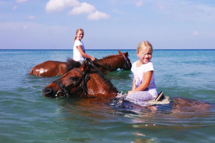 Beach Horse Back Riding at Layan Beach