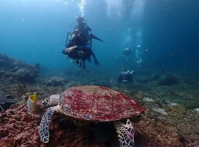 8-Hour Shared Scuba Diving Experience in Phuket