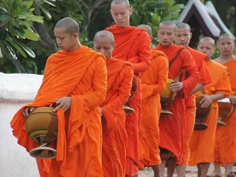An Authentic Samui Experience