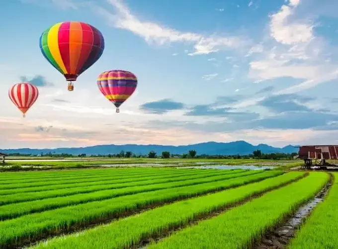 Balloon Chiang Rai-Soft Adventure and Nature Touch Activity