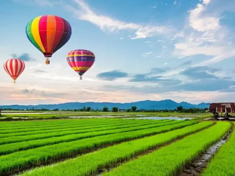Balloon Chiang Rai-Soft Adventure and Nature Touch Activity