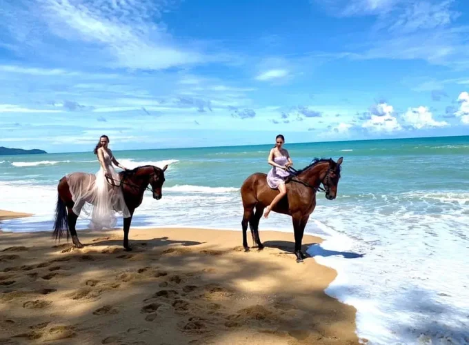 Phuket: Kamala Beach Horse Riding Experience – Scenic Coastal Adventure