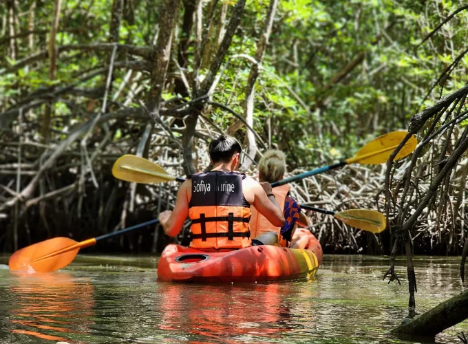Deep Roots: A Jungle-to-Sea Kayaking & Trekking Adventure in Phuket