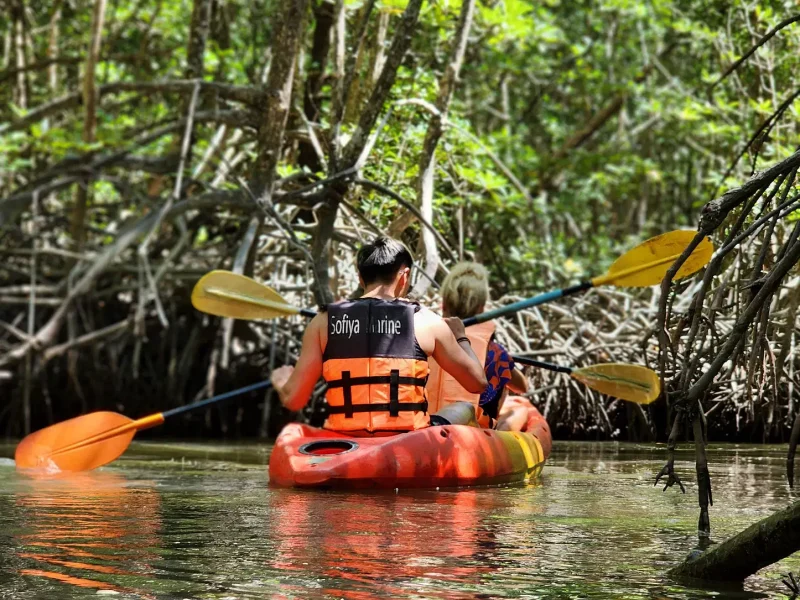 Deep Roots: A Jungle-to-Sea Kayaking & Trekking Adventure in Phuket