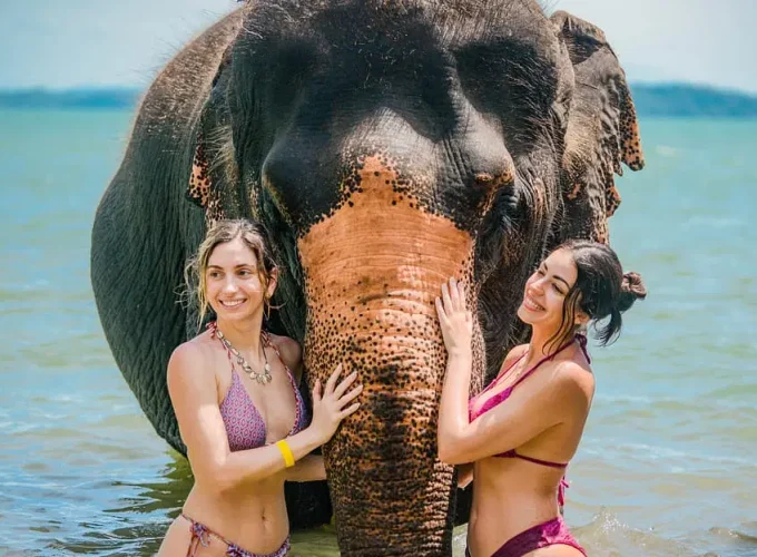 Phuket: Beach Walk with Elephants, Rain & Care