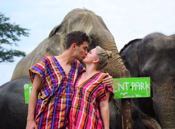 Phuket: Honeymoon Elephant Care Program