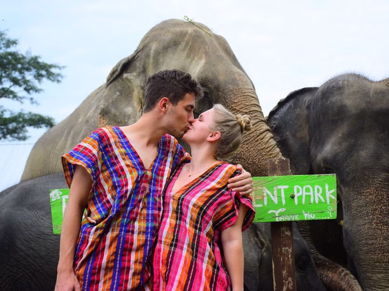 Phuket: Honeymoon Elephant Care Program