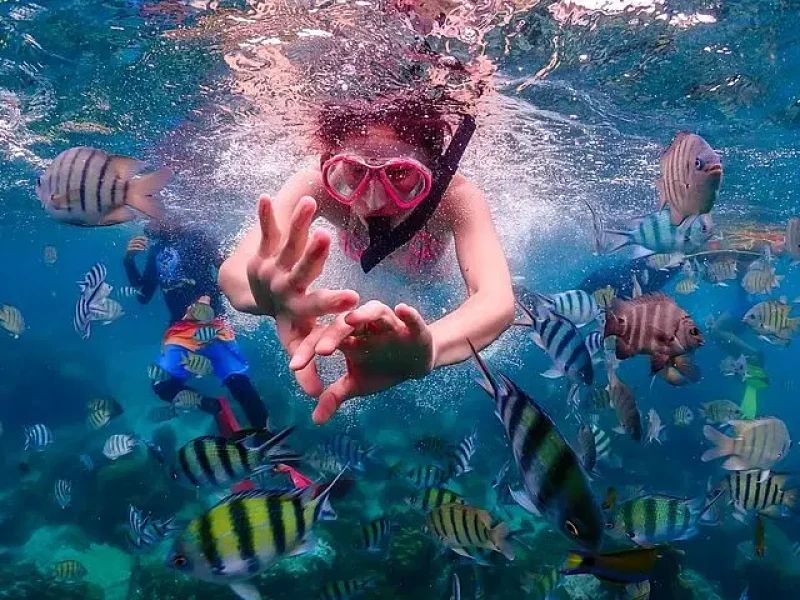 Nemo Island Full Day Tour by Speedboat with Snorkeling Experience