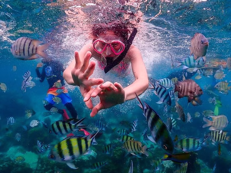 Nemo Island Snorkeling Experience by Speedboat from Bangkok