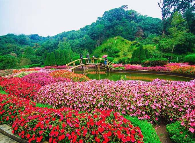 One day Doi Inthanon & Trekking at Pha Dok Siew