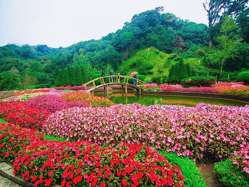 One day Doi Inthanon & Trekking at Pha Dok Siew
