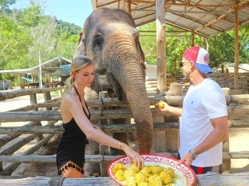 Private VIP Elephant Care Program