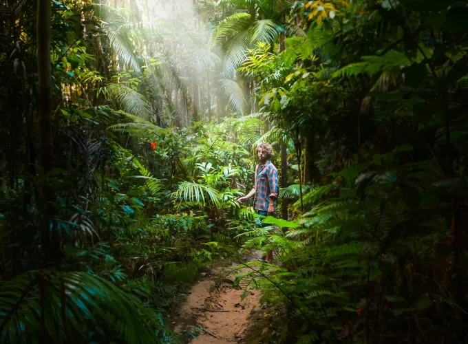 Wildlife Sanctuary Trekking with Lunch