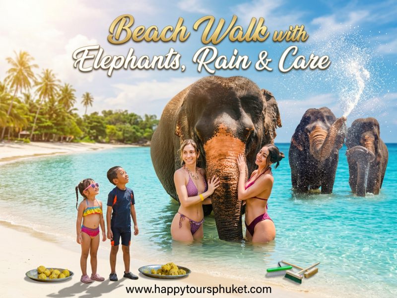 Phuket: Beach Walk with Elephants, Rain & Care